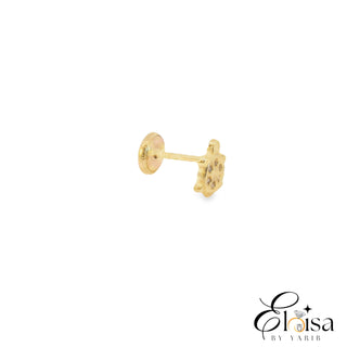14K Turtle with Cz Screwback Earring