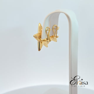 14Kt Big Star Omega Earring